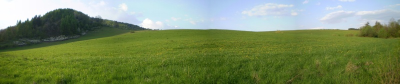 Fajfer 2008-28.4..jpg