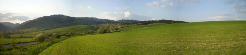 Fajfer - Grenica 2008.4.28..jpg