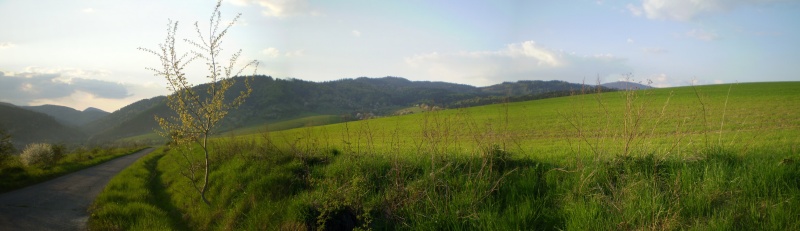 Fajfer na jar 2008.jpg